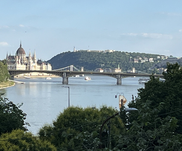 Luxury apartment overlooking the Danube