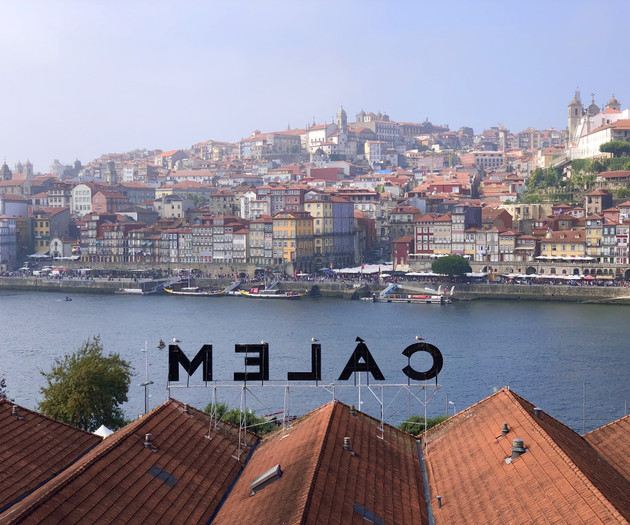 River view with Porto skyline