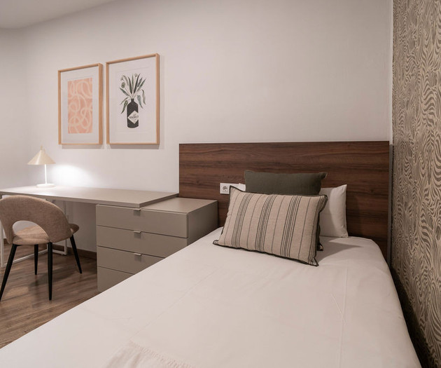 Spacious apartment in the heart of Valencia