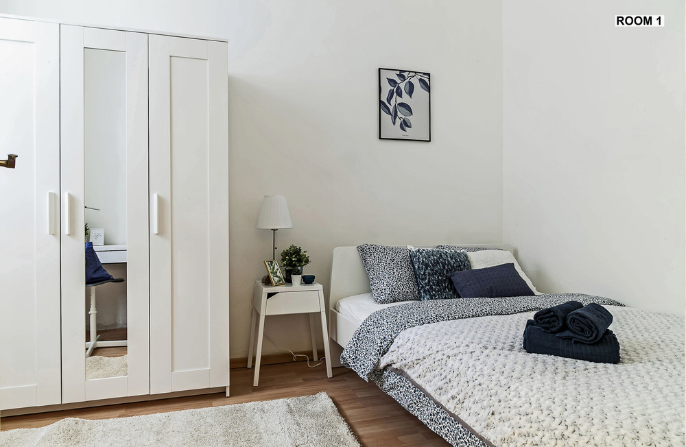 Bright Private Room in Central Budapest preview