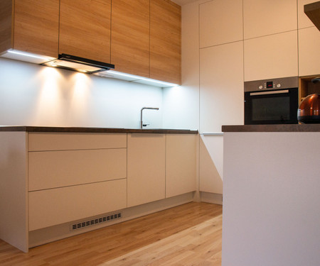 Sunny flat with terrace and parking, Brno-Slatina