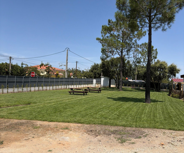 T2 em Madeira Off-Grid a Estrear