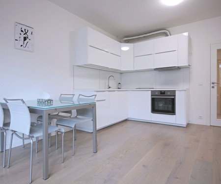 New modern apartment next to Vltava river