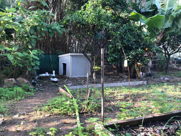 Jardín
