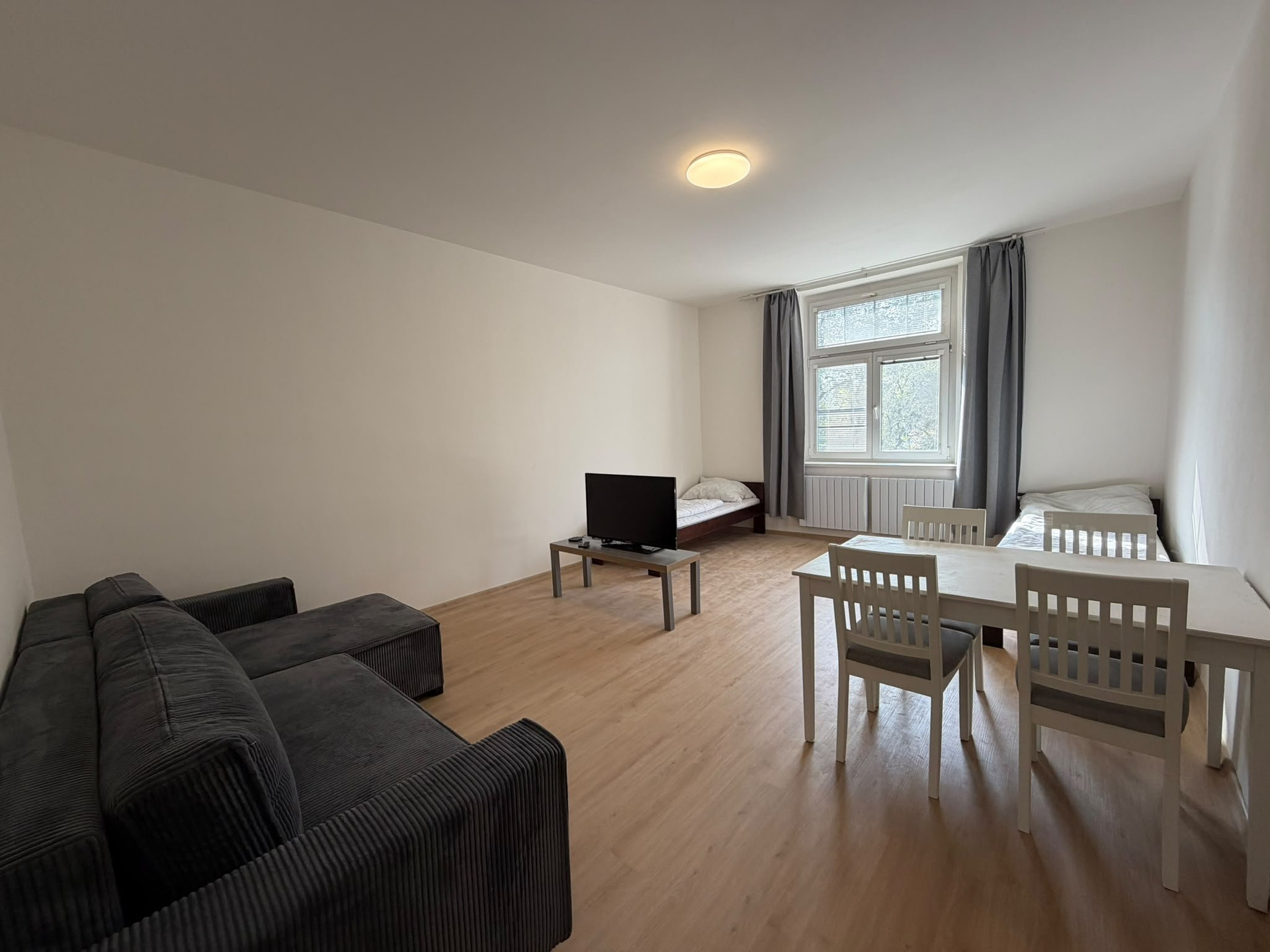 Living area with sofa and dining