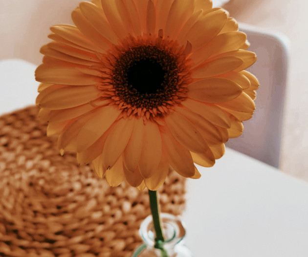 S t r e h z a: your spacious sunlit oasis