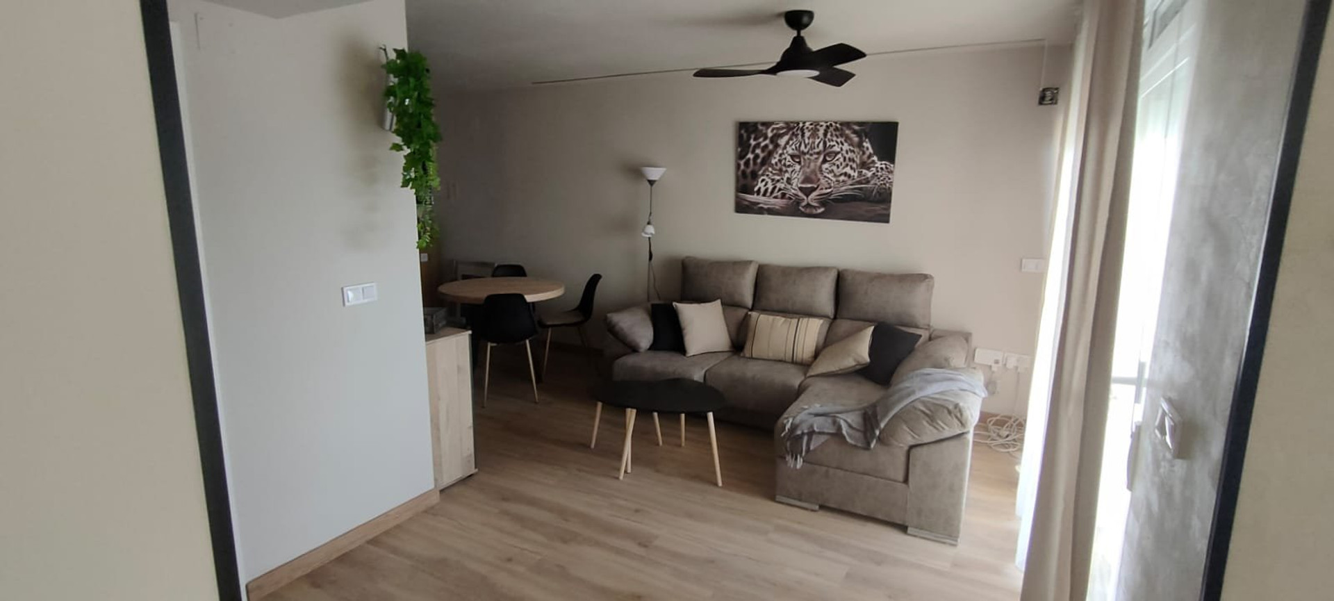 Living room with sofa and dining table