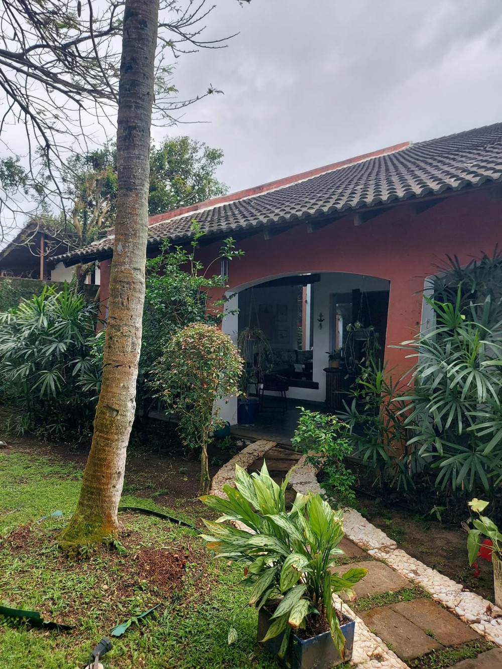 Buddha House preview