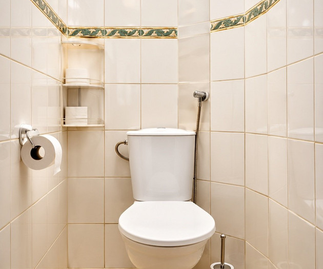 Luxury Lion Suite | Grand Vinohrady Residence