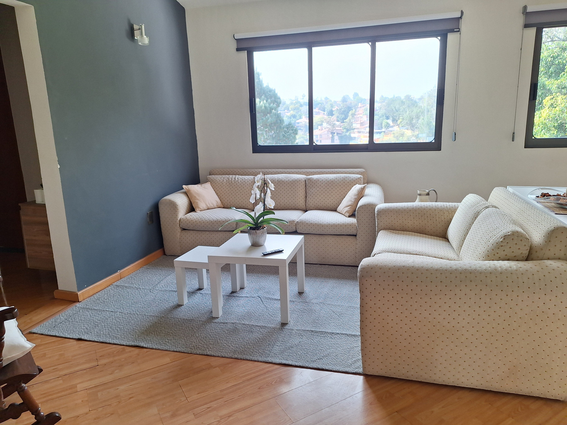 Bright living room with sofas
