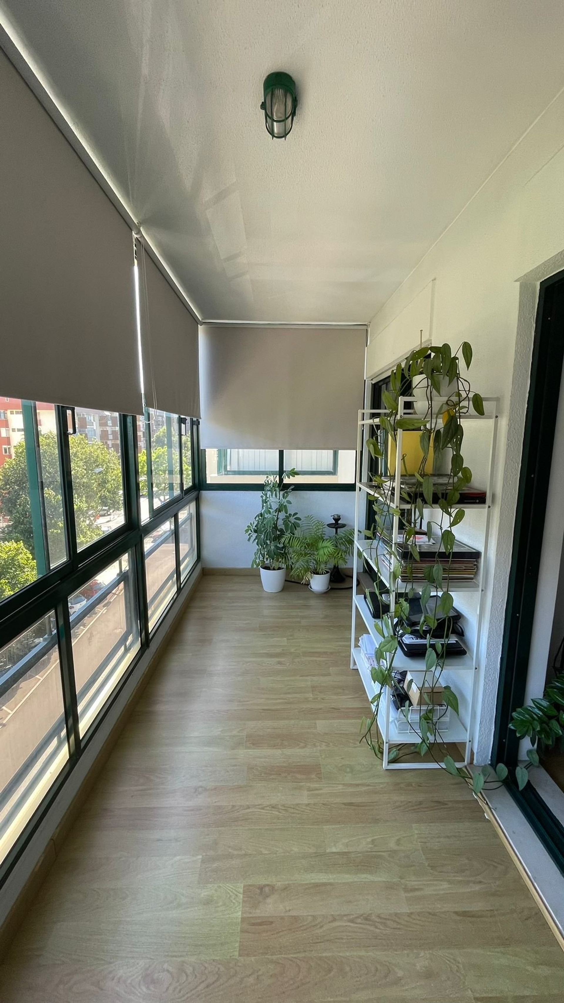 Enclosed sunroom with plants and shelf
