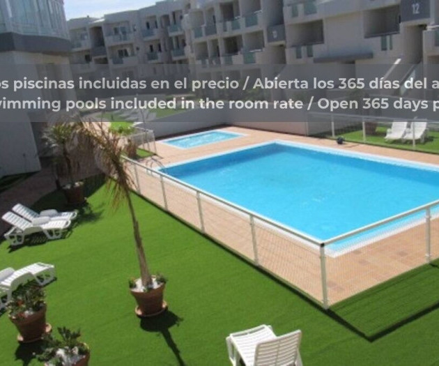 Chocolate Cookie: Pool + terrace + fiber + Desk