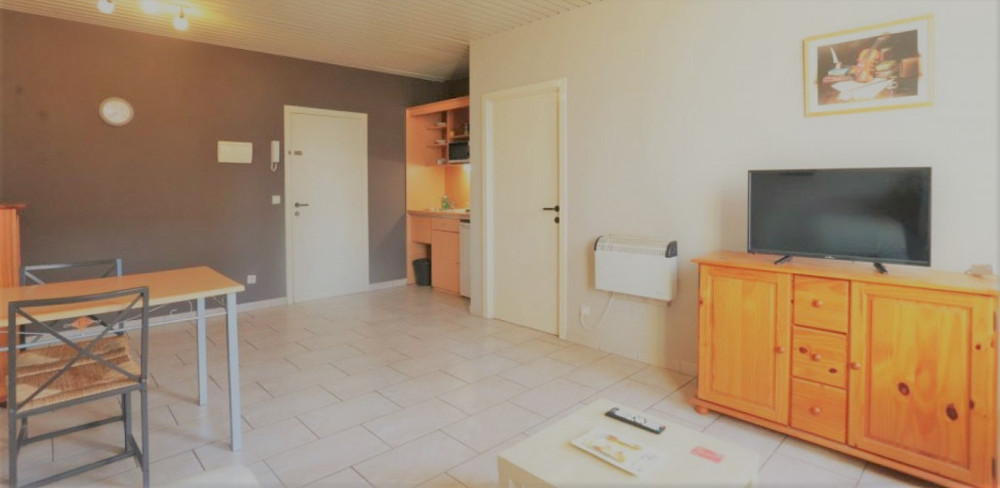 Fully Furnished One-bedroom flat in Brussels