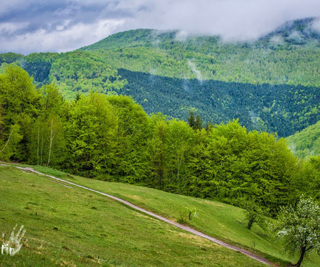 Transylvanian Cottage with Private Swimming Pool