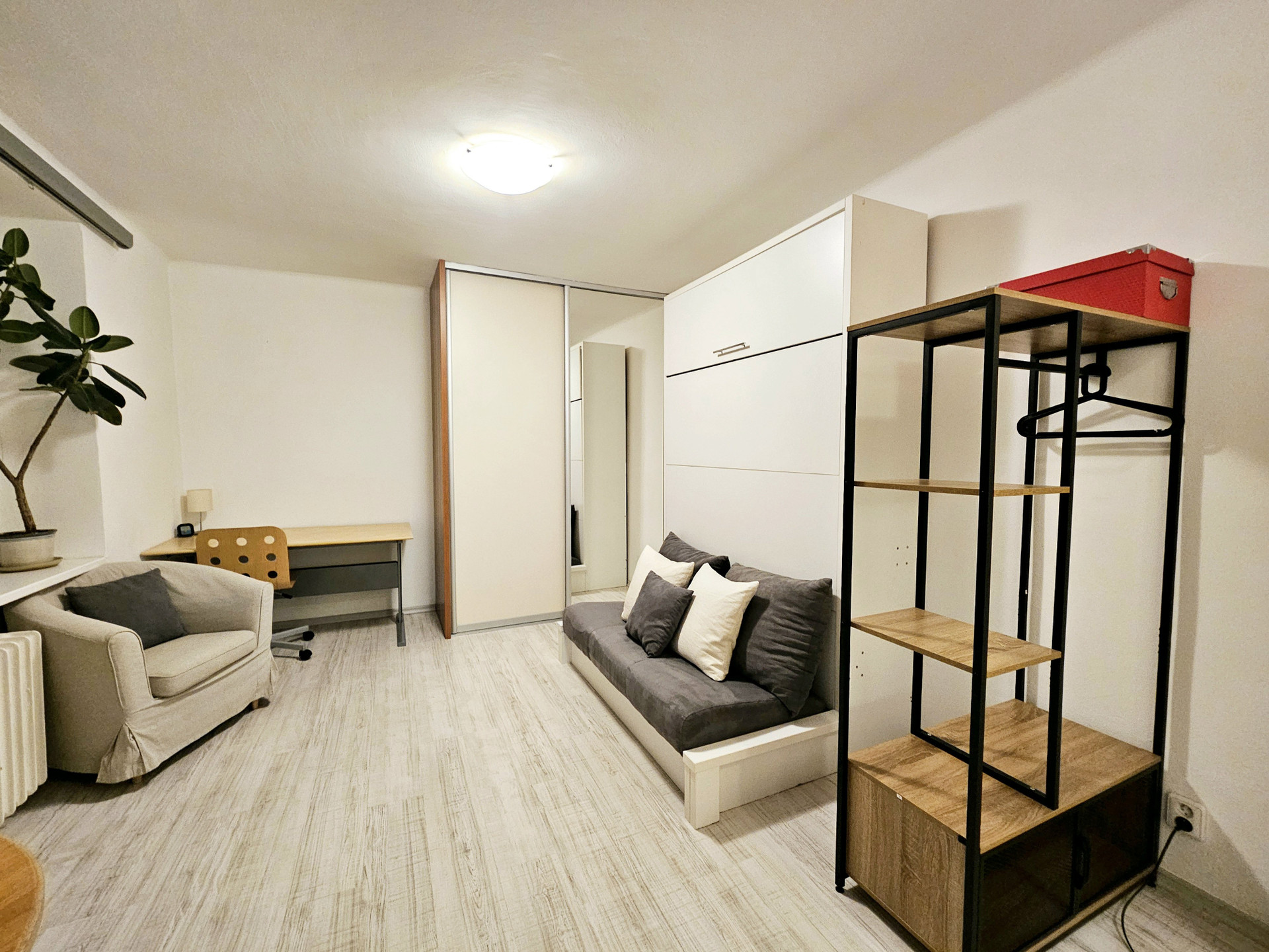 Studio living area with sofa bed