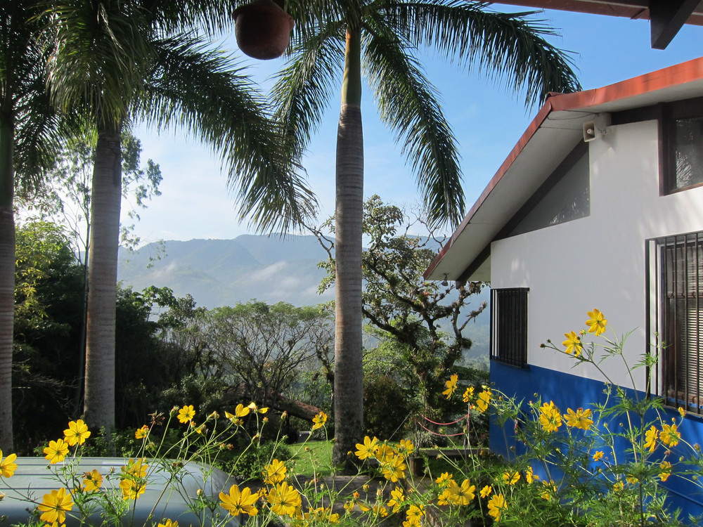 Villa Alas Azules vacation paradise:digital nomads preview