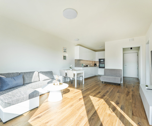Klamovka stylish Apartment