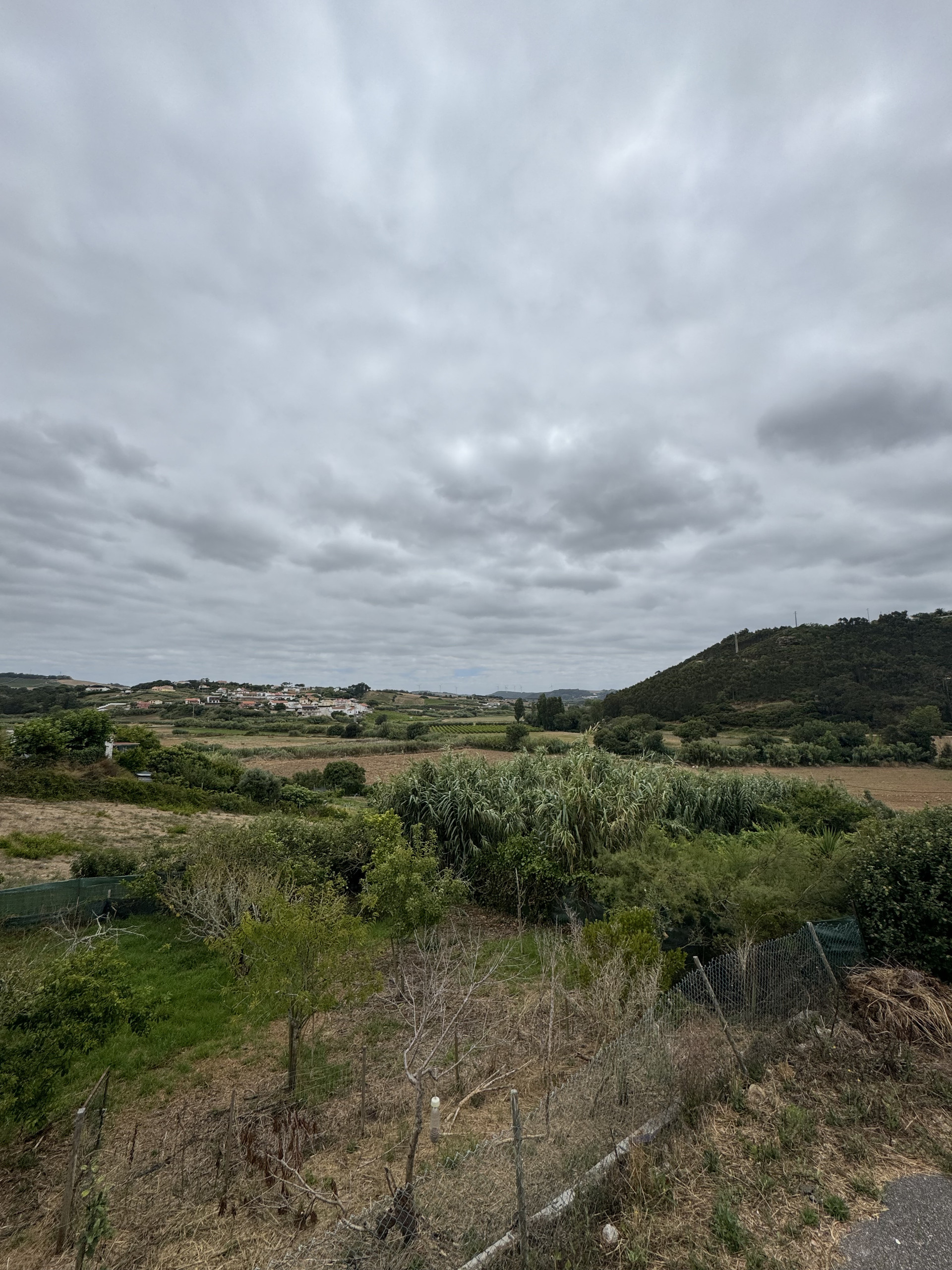 View from the house