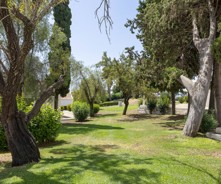 Tavira - Pedras d'el Rei