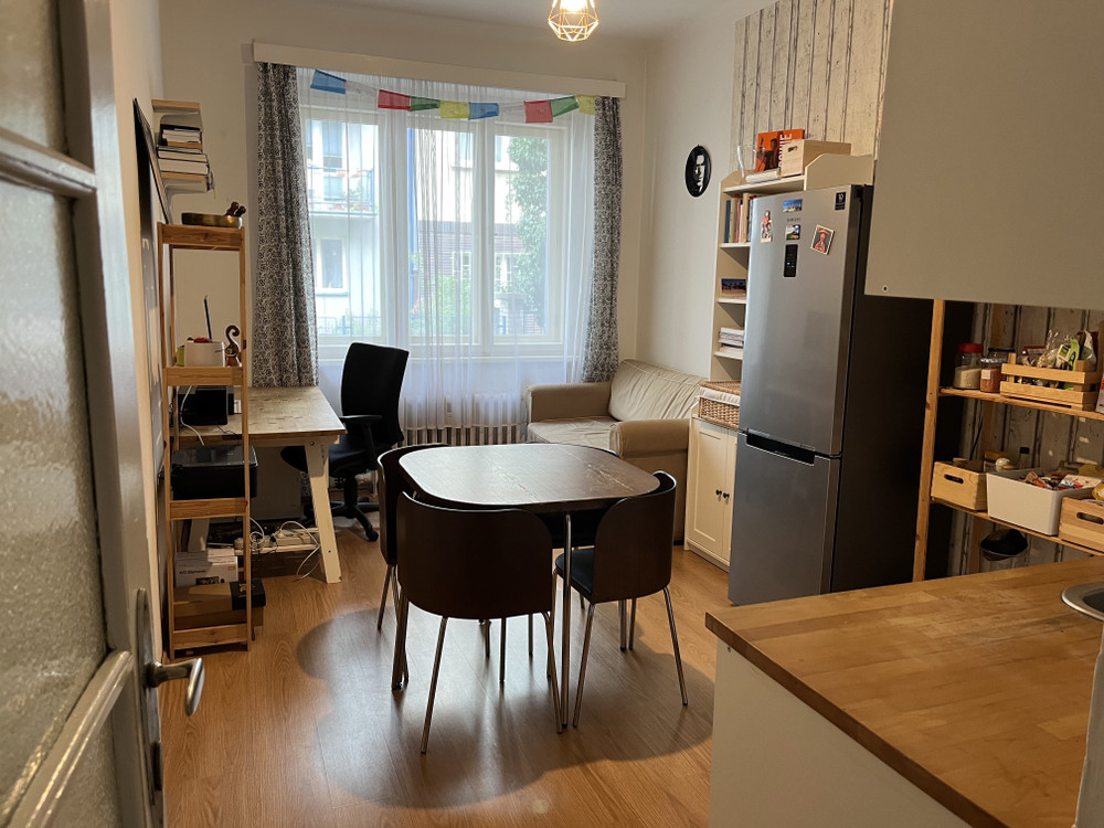 Cozy 1+1 apartment Vinohrady preview