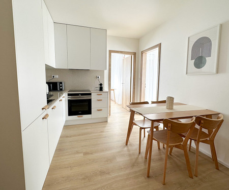 Stylish and cozy 1+2 apartments in Holešovice