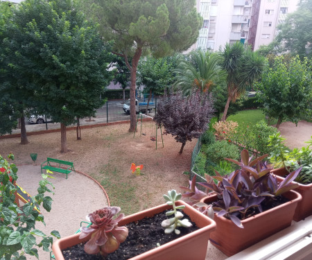 Bright apartment with trees in Barcelona