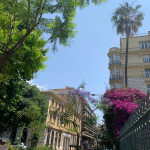 Landlords profile photo