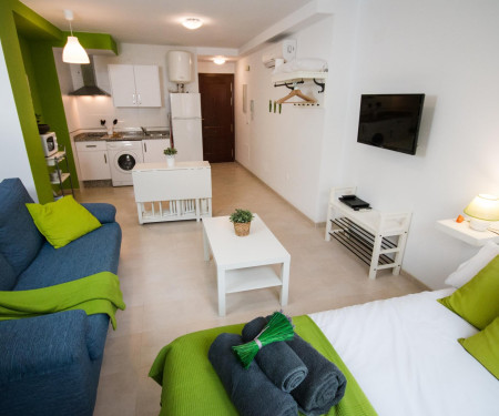 Holidays2Malaga Mena Loft close to the center