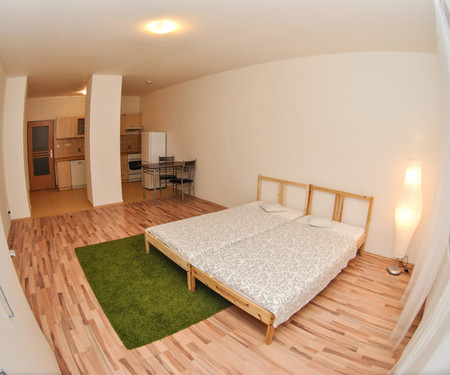 Mieszkanie do wynajęcia - Brno-Stred