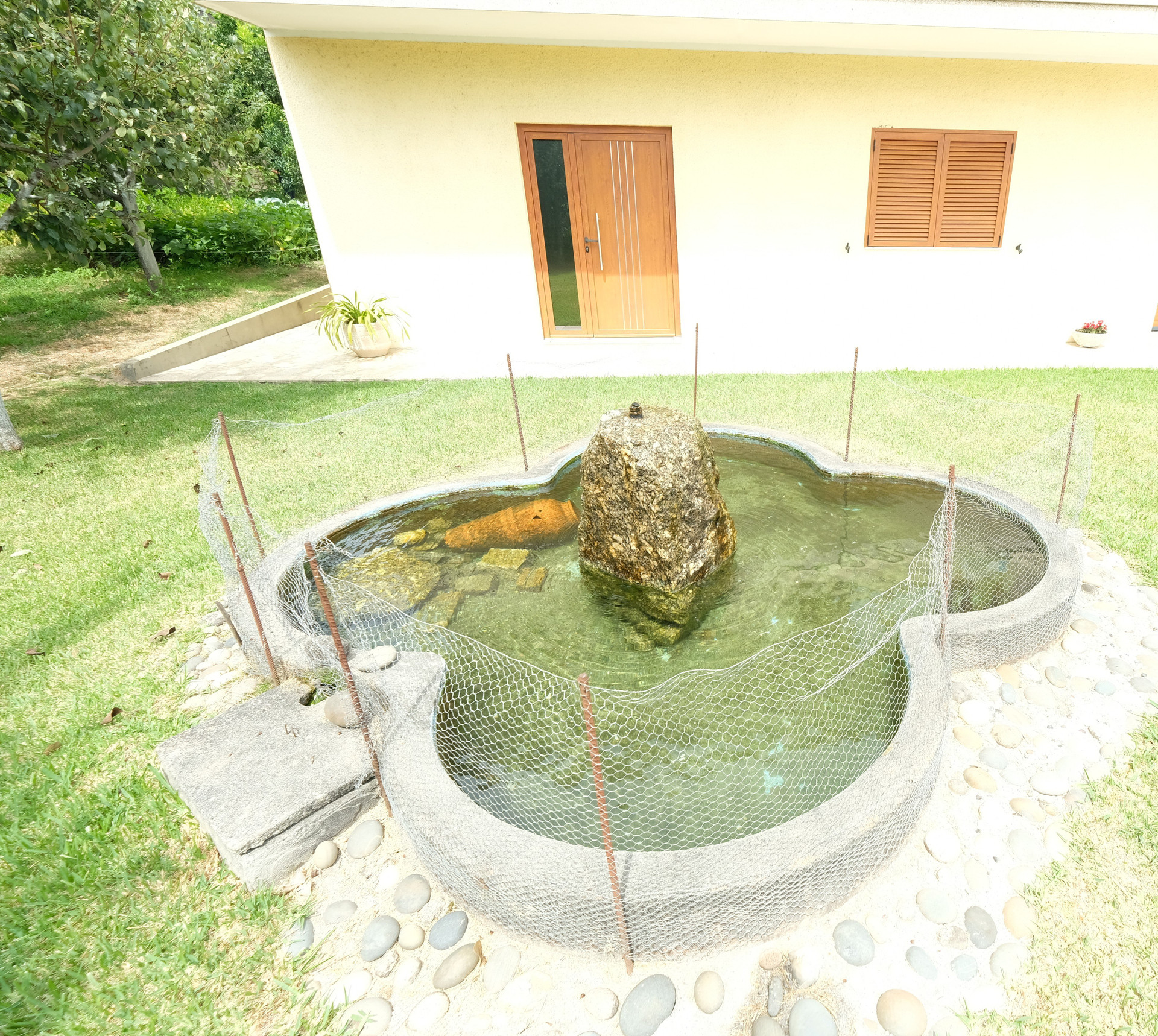 Garden pond and exterior