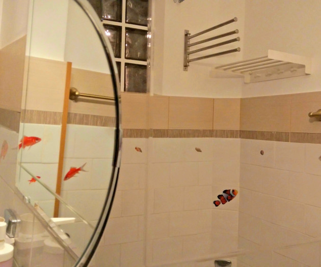 4**** One Bedroom Apt FRENCH EMBASSY, view, quiet