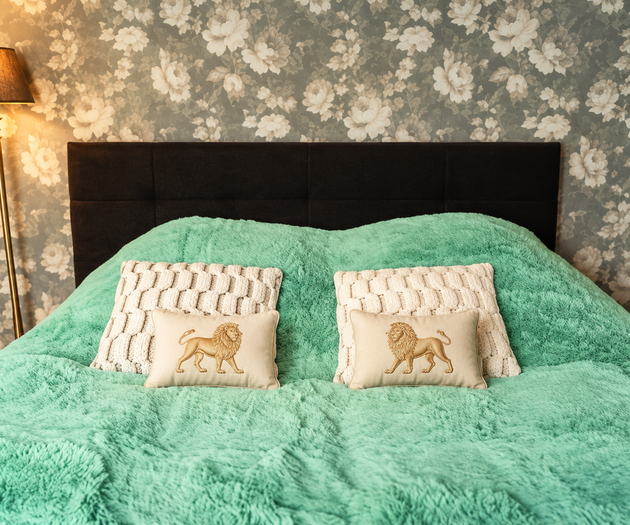 Hound Deluxe Suite | Historic Vysehrad Luxury