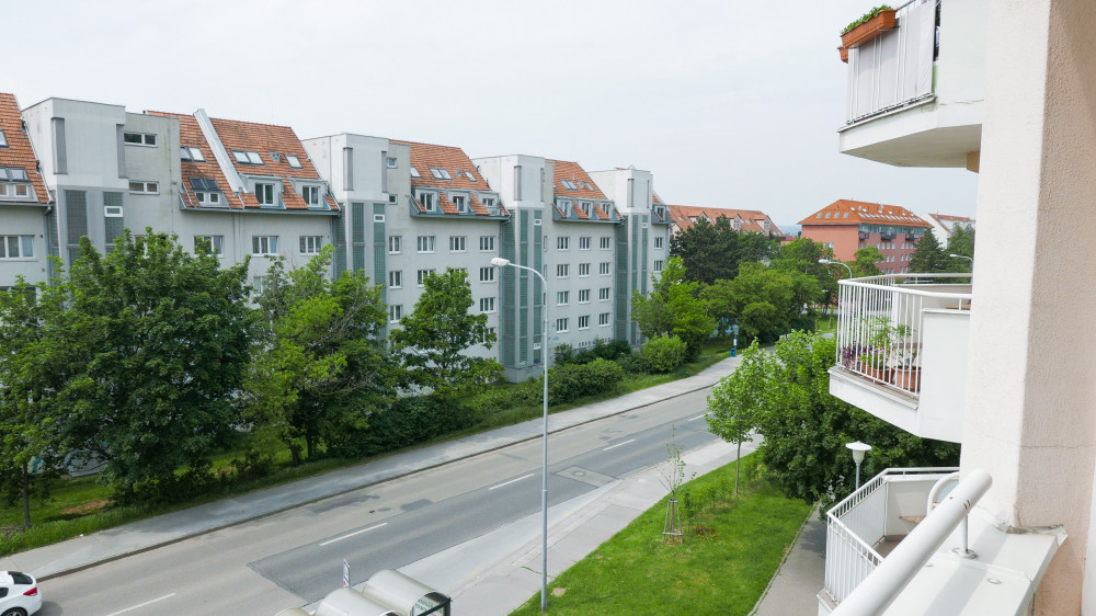 Commodious and bright flat with balcony