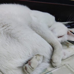 Landlords profile photo