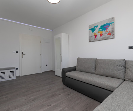 Apartman Ulica Petra Svačića