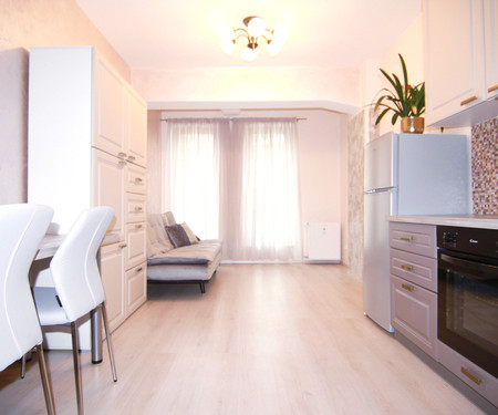 One bedroom apartment (2+kk) in Holesovice