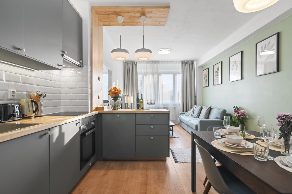 Cozy Apartment near O2 arena Prague preview