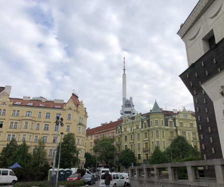 Lovely studio with balcony-Vinohrady area