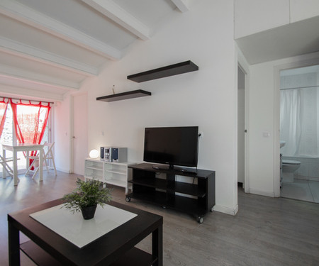 Nice 45m2 Penthouse. Furnished and equipped