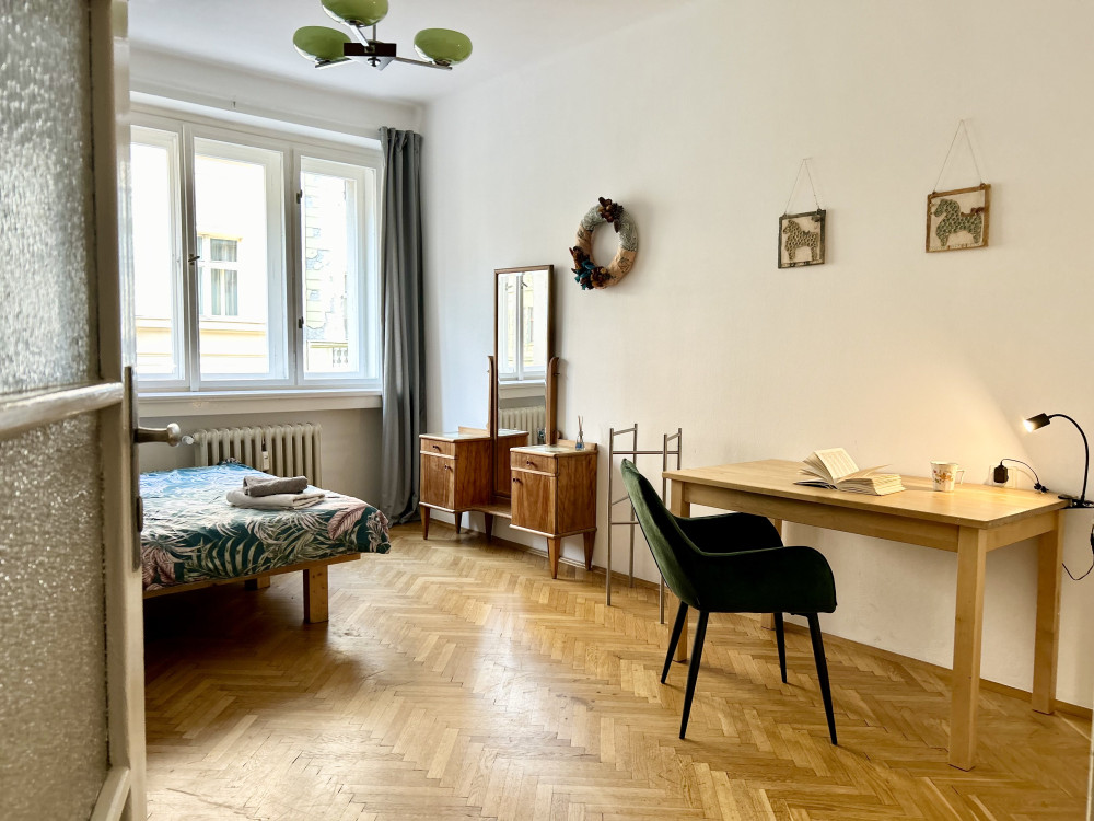 Spacious apt near the subway preview