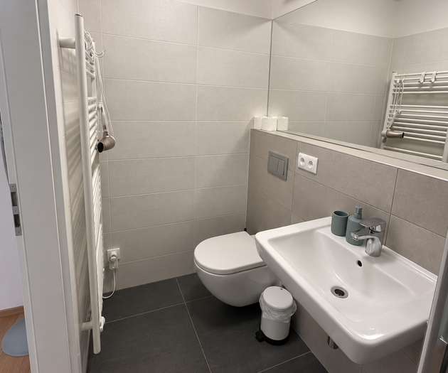 Toilet and sink area