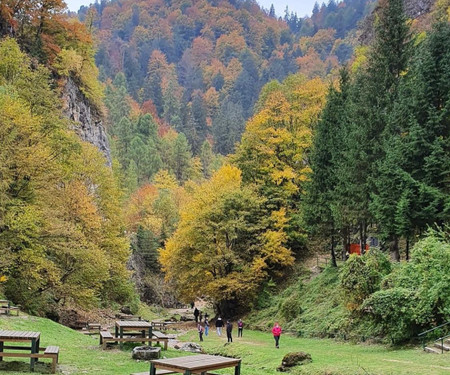 Cheerful/PATIO/Hiking trails & Old Town