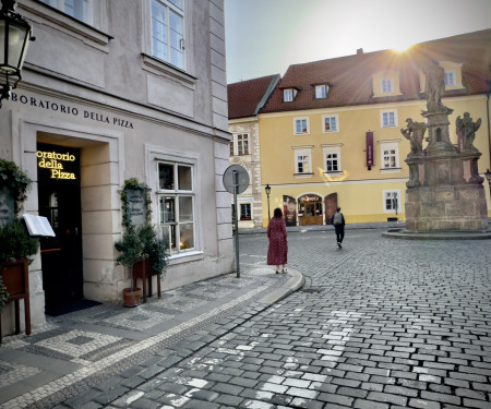 Apartment near the Charles bridge