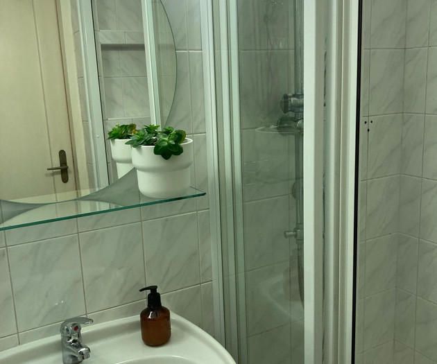 Bathroom sink and shower