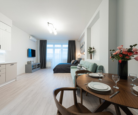 Newly renovated apartment Českomoravská