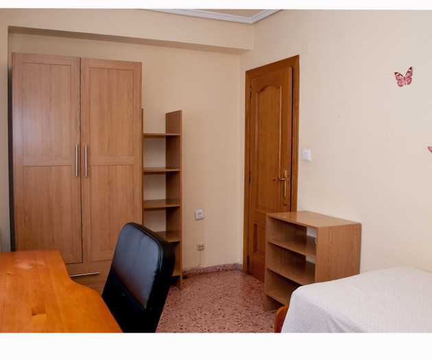The Big Erasmus Apartment