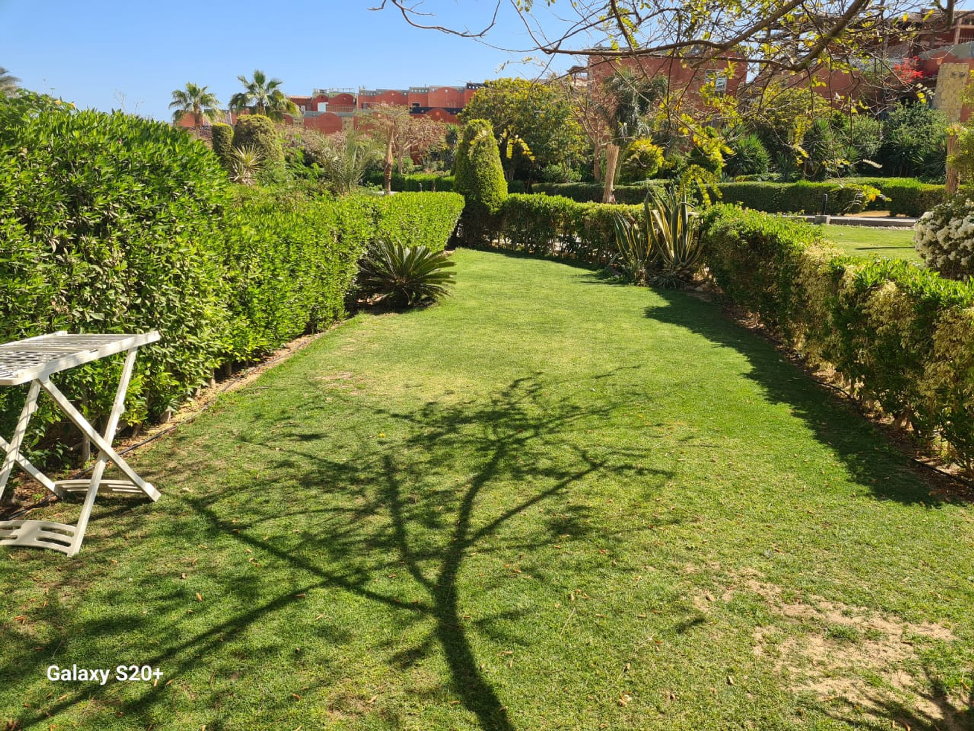 GARDEN