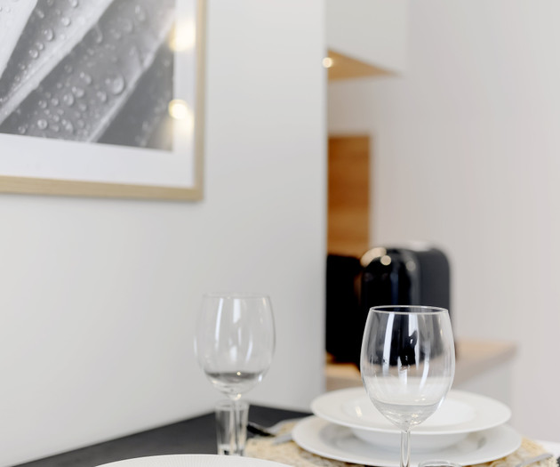 Luxury City Center Apartment 1+kk