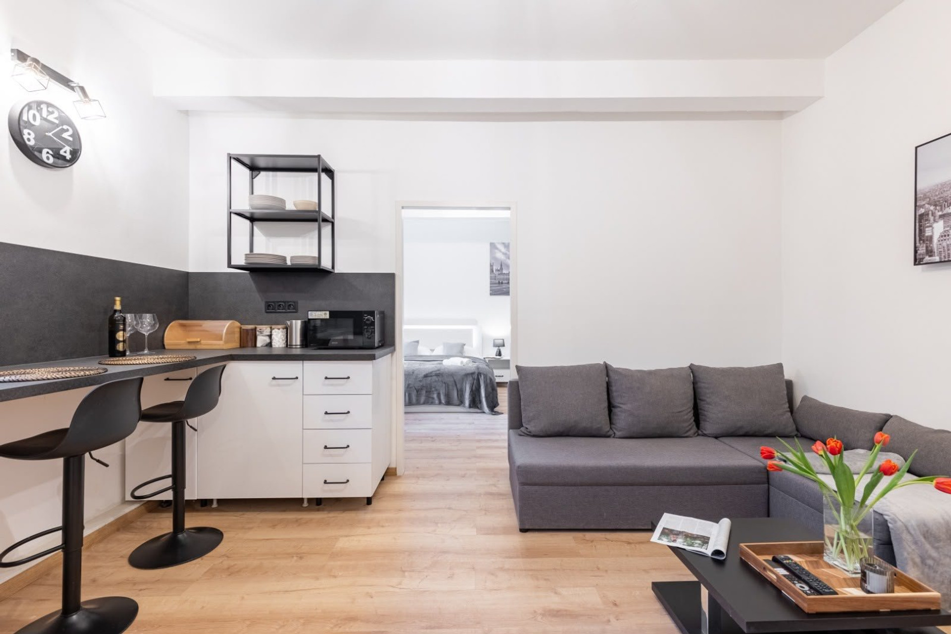 Living room sofa and kitchen
