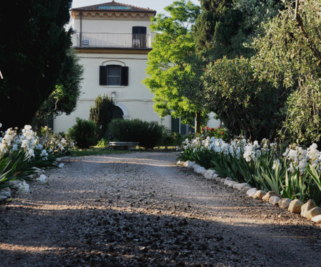 Italian countryhouse in the olive grove